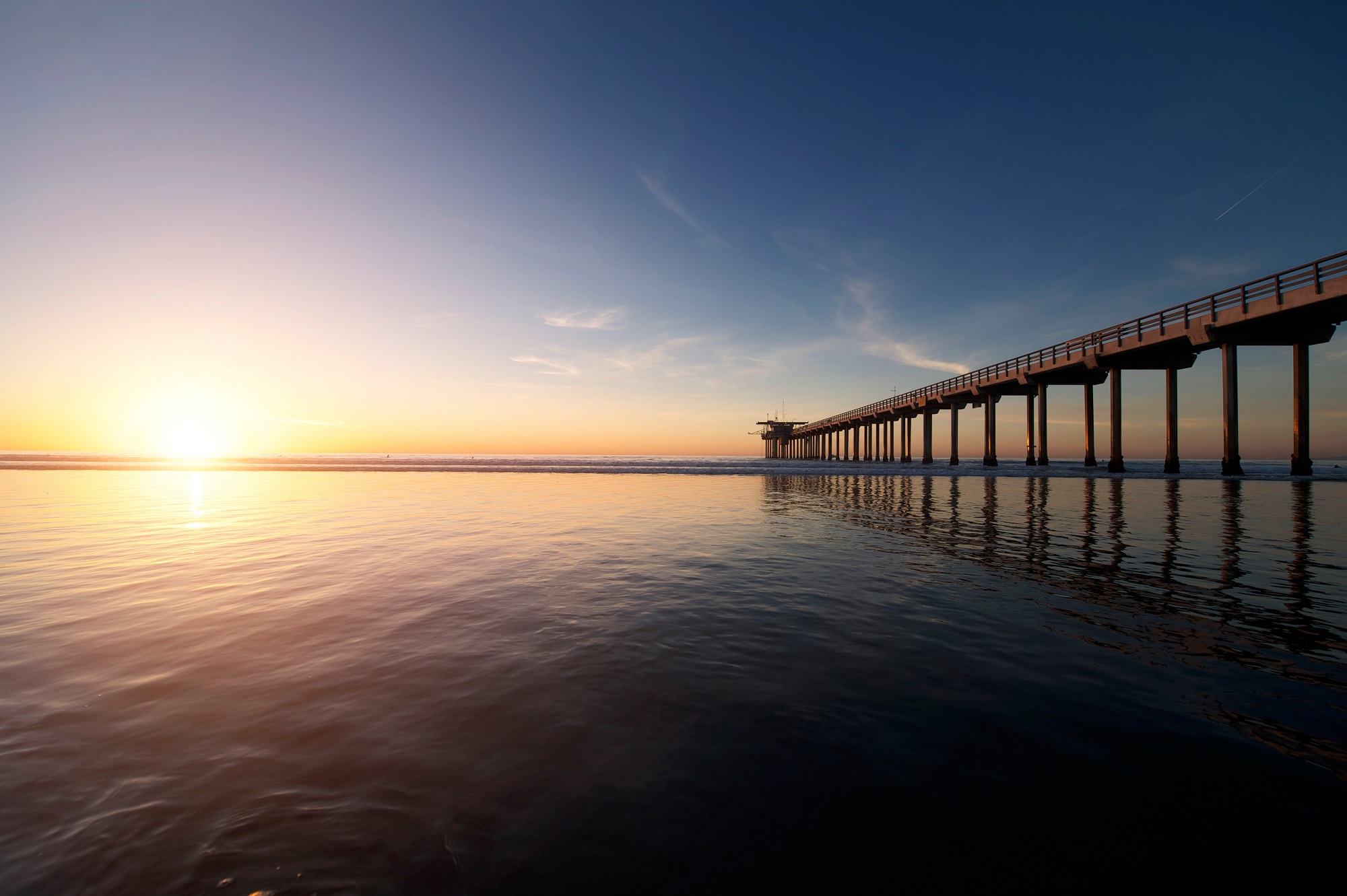 SDVoyager Magazine: Meet Carlsbad Web Designer, Laurie Barron