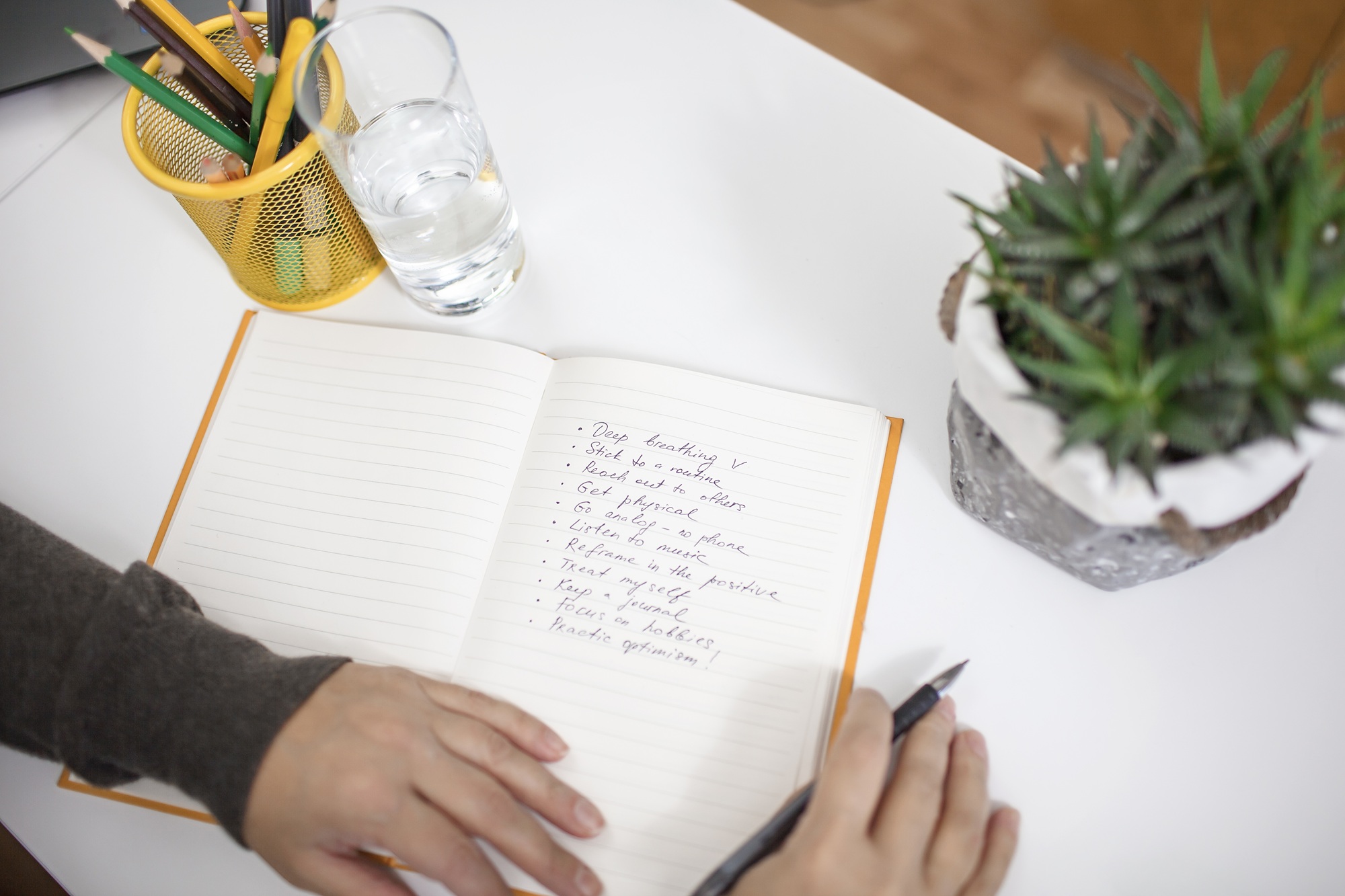 Website Content vs. Design: Which Matters More?