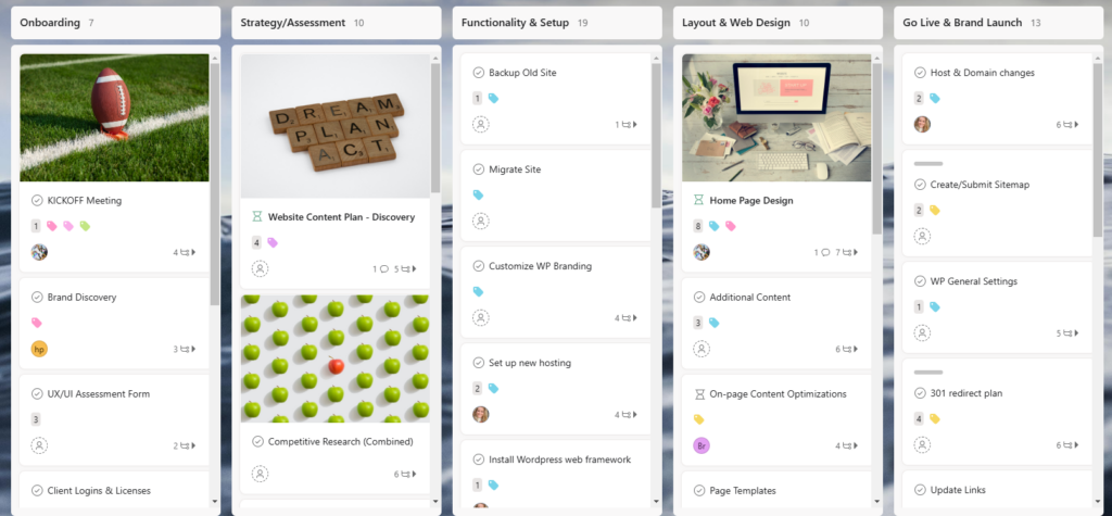 asana project management