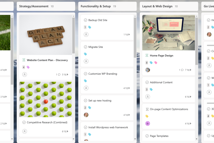 asana project management